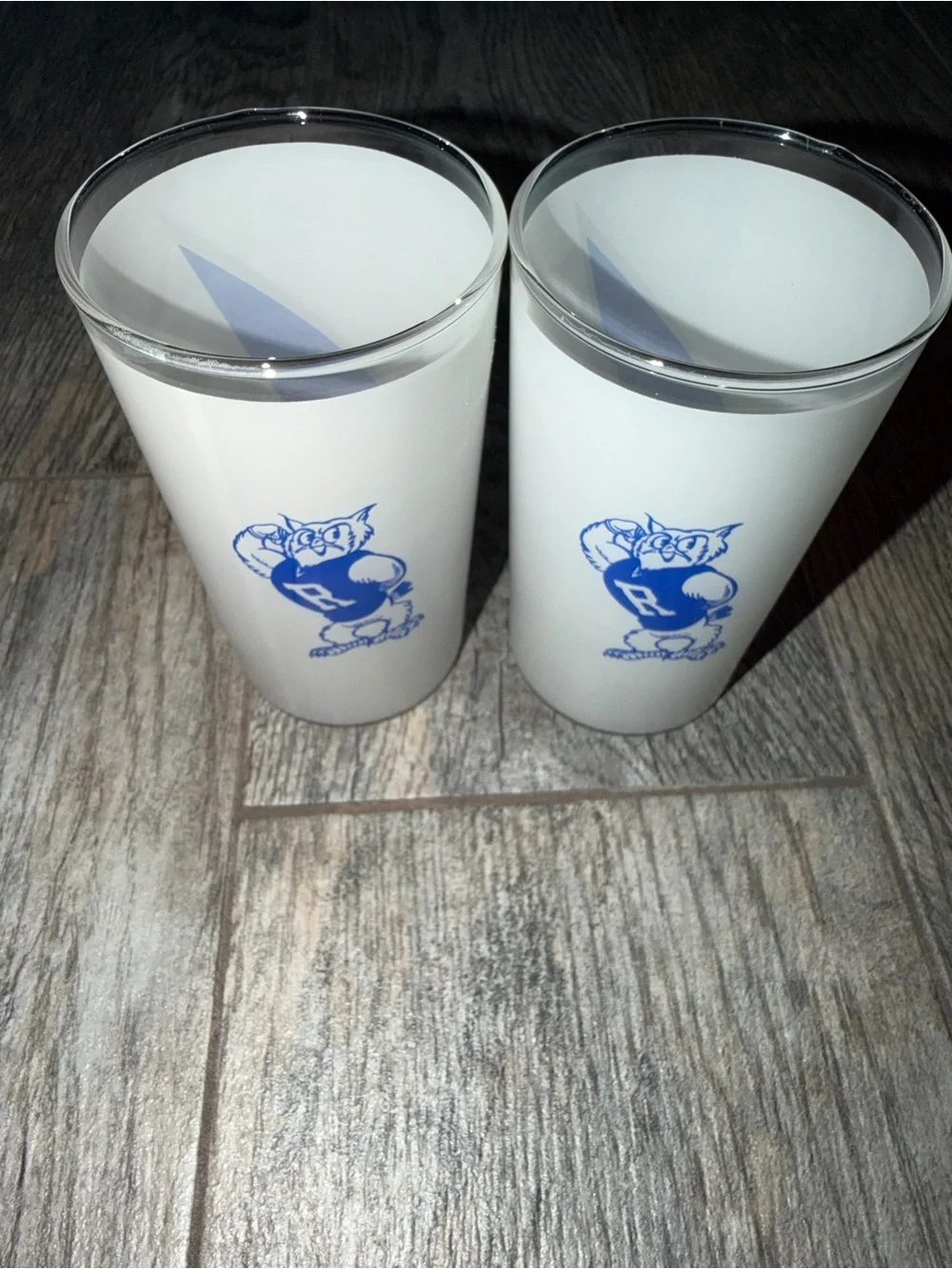 Vintage Rice University Frosted Glasses Set of 2